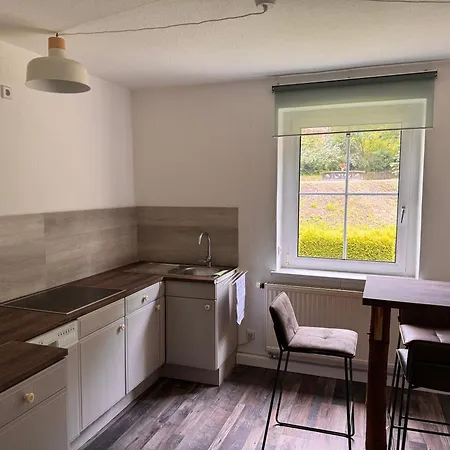 Ellis-ferienwohnung-erzgebirge Apartment