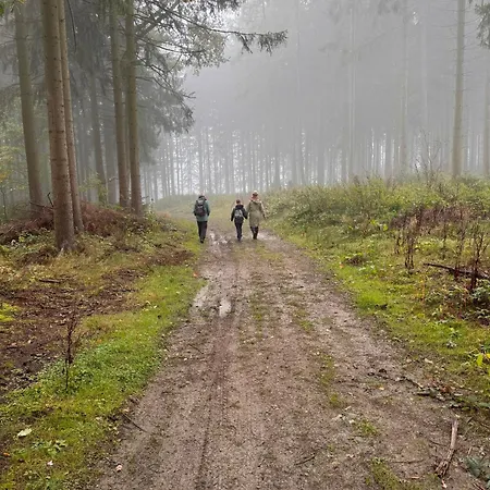 Ellis-ferienwohnung-erzgebirge Drebach